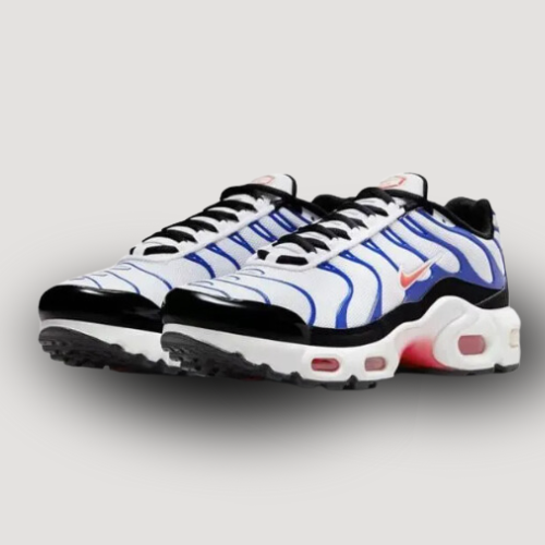 NIKE - AIR MAX PLUS - GS - BLANC & BLEU