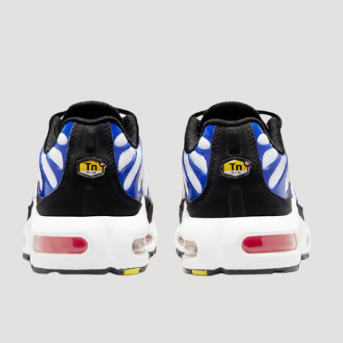 NIKE - AIR MAX PLUS - GS - BLANC & BLEU