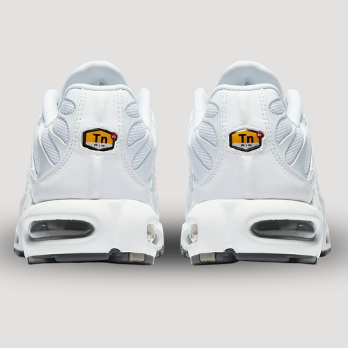 NIKE - AIR MAX PLUS - TN - BLANC