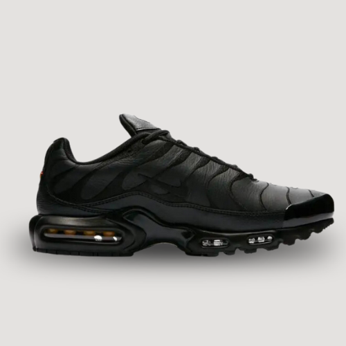 NIKE - AIR MAX PLUS - TN - HOMME