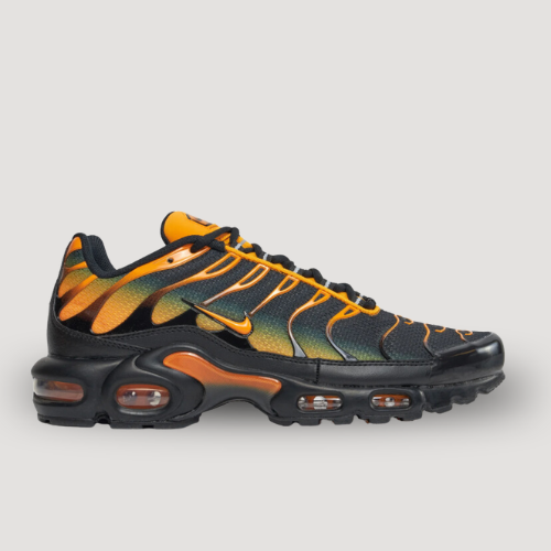 NIKE - AIR MAX PLUS - TN - HOMME