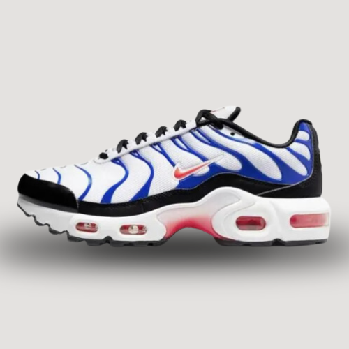 NIKE - AIR MAX PLUS - GS - BLANC & BLEU