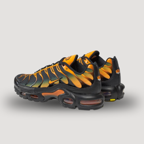 NIKE - AIR MAX PLUS - TN - HOMME