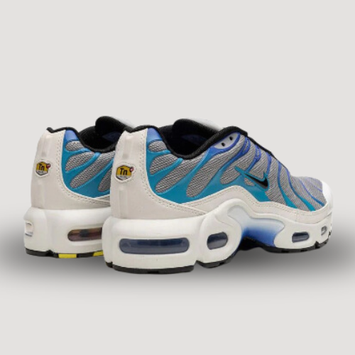 NIKE - AIR MAX PLUS - GS - BLEU & GRIS