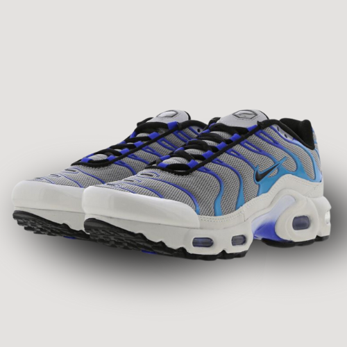 NIKE - AIR MAX PLUS - GS - BLEU & GRIS